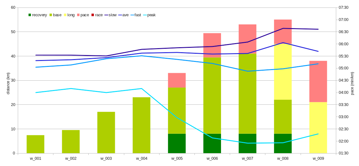 graphical summary of the 1st 9 weeks of barefoot running